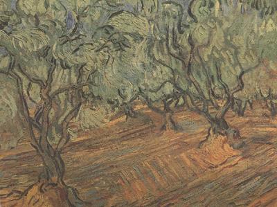 Olive Grove:Bright Blue Sky (nn04), Vincent Van Gogh